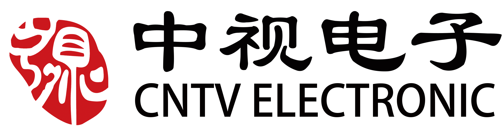 浙江中视电子有限公司