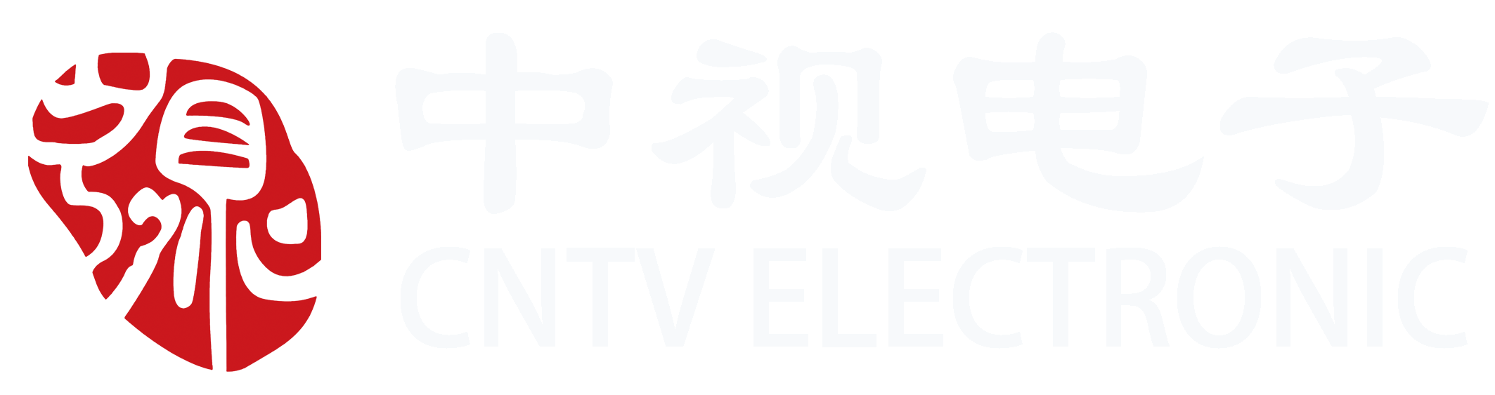 浙江中视电子有限公司